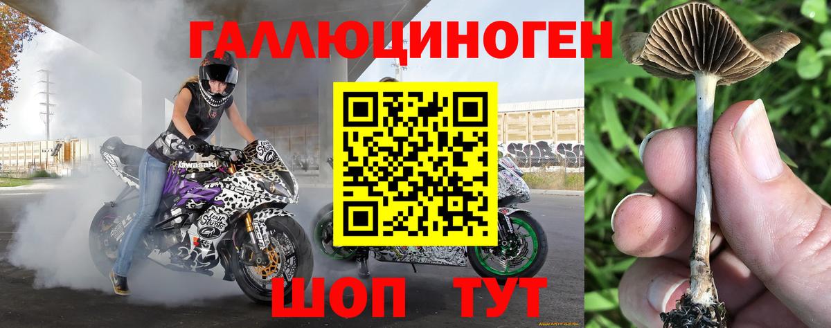 Галлюциногенные грибы мухоморы  Вход с VPN  Алейск  купить  цена  Псилоцибиновые грибы мухоморы 