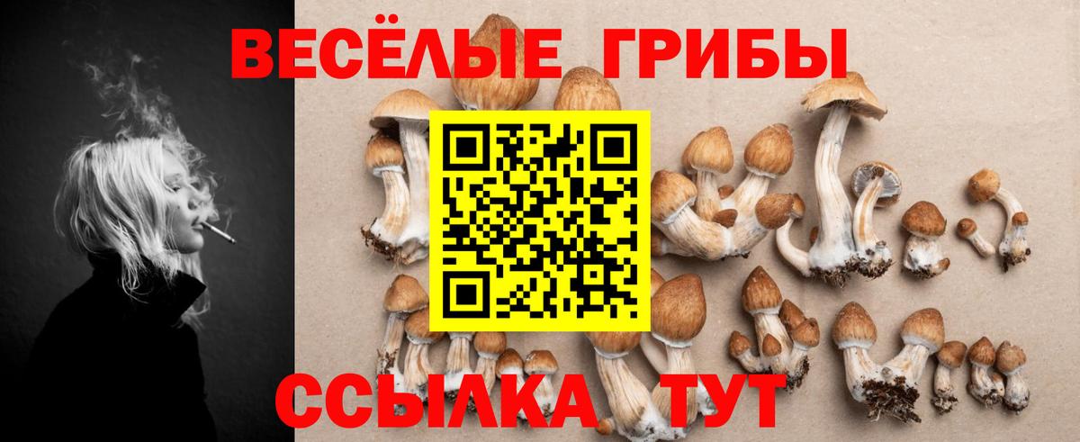 Псилоцибиновые грибы Magic Shrooms Алейск
